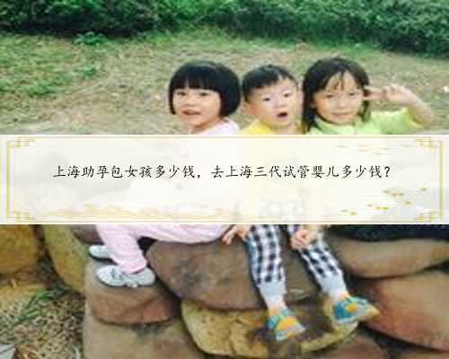 上海助孕包女孩多少钱，去上海三代试管婴儿多