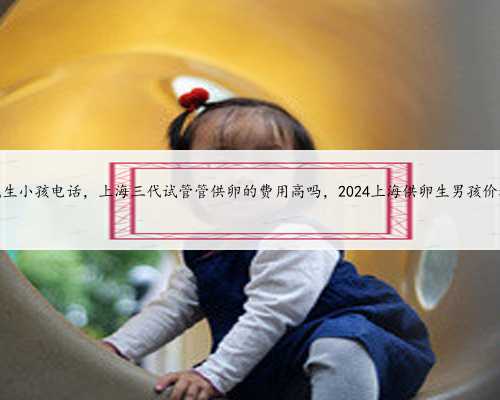 <b>上海提供代生小孩电话，上海三代试管管供卵的费用高吗，2024上海供卵生男孩</b>