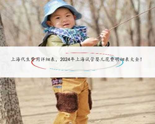 <b>上海代生费用详细表，2024年上海试管婴儿花费明细表大全！</b>