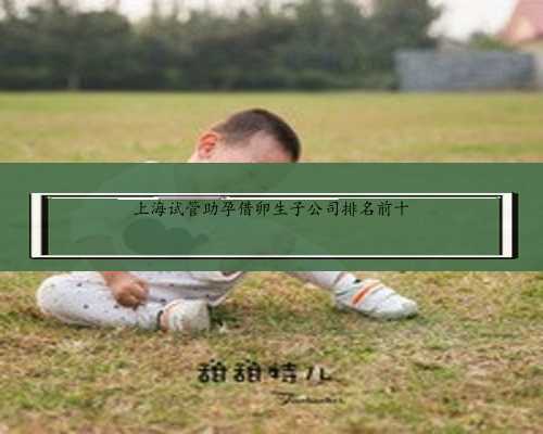 <b>上海试管助孕借卵生子公司排名前十</b>