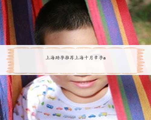 <b>上海助孕推荐上海十月幸孕a</b>